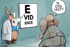 20210213-gop-evidence