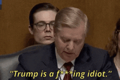 20210213-trump-idiot