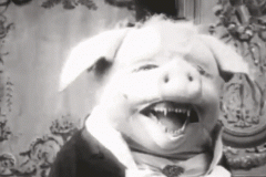 20210403-pig