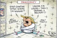 20210404-democrazy