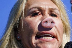 20210404-pig-marge