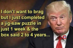 20210406-trump-puzzle
