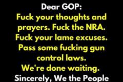 20210408-gun-laws-1