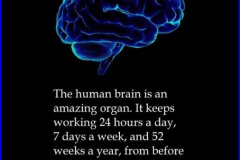 20210629-brain-religion