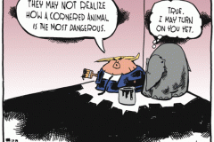 20220502-cornered-animal