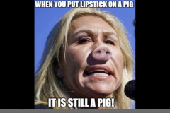 20220707-mtg-lipstick-on-a-pig