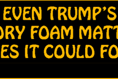 20220814-memory-foam