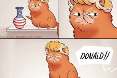 20220815-donald-cat