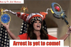 20221114-arrest