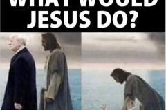20221117-what-qwould-jesus-do