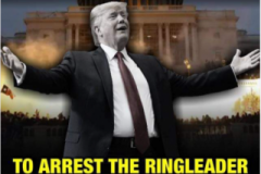 20221121-trump-arrest-ringleader