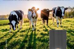 20221216-trump-vs-cows-methane