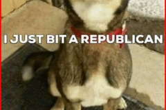 20230330-just-bit-a-republican