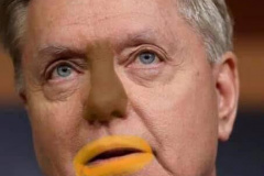 20230330-lindsey-graham-brown-nose