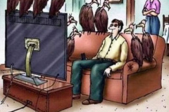 20230331-stop-watching-fox