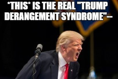 20230406-trump-derangement