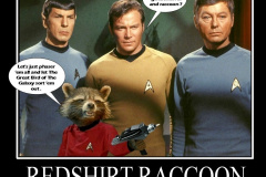 20230410-redshirt-racoon