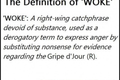20230410-woke-definition
