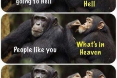 20230428-going-to-hell