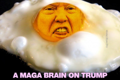 20230428-trump-maga-brain