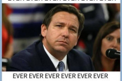 20230503-dont-allow-desantis