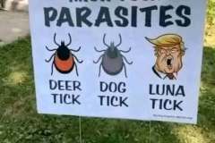 20230509-trump-luna-tick