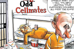 20230622-odd-cell-mates