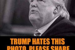 20230628-trump-hates-this