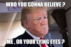 20230805-trump-or-your-lying-eyes