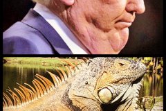 20230817-trump-iguana