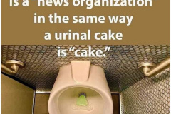 20230823-fox-urinal-cake