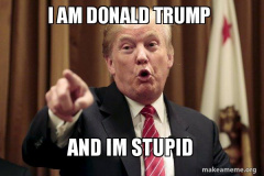 20230910-trump-stupid