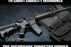 20230925-gun-insurance