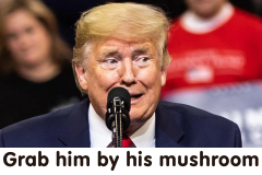 20231005-trump-grabbed-mushroom