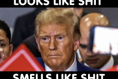 Stinky Trump: looks like shit, smells like shit.