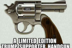 20240121-trump-supporter-gun