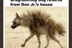 20240404-don-jr-drug-siffing-dog