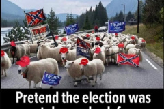 20240404-trump-how-do-you-milk-sheep