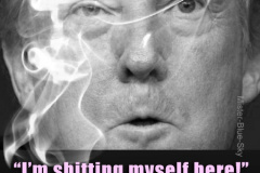 20240404-trump-shitting-myself