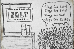 20240405-slugs-for-salt