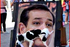 20240405-ted-cruz-dogs-know