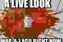 20240408-trump-ketchup-live-at-mar-a-lago