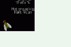 20240412-rfk-draw-flies