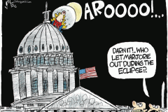 20240412-who-let-marjorie-out-during-eclipse