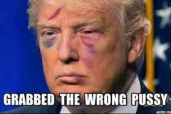 20240420-grabbed-wrong-pussy