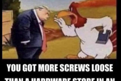 20240804-trump-more-loose-screws