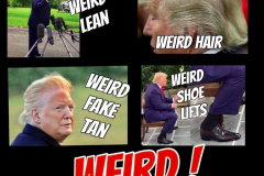 20240804-trump-weird