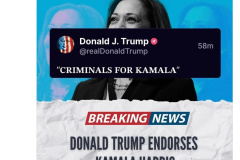 20240808-criminals-for-trump