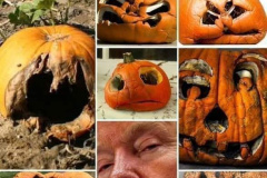 20240812-trump-rotting-pumpkins