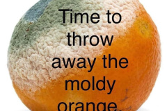 20240812-trump-throw-away-orange